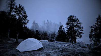 Campfire Ghost Story: The Lantern in the Woods