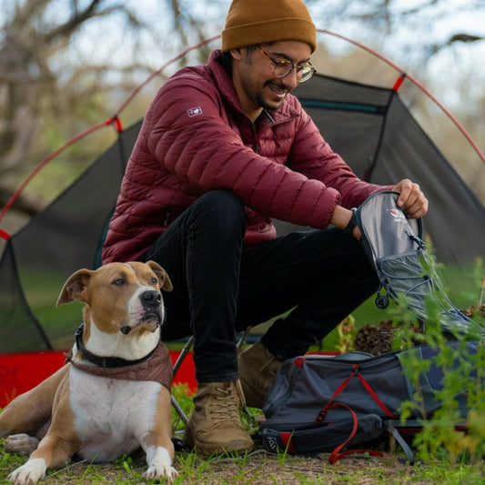What to Pack for a Safe, Comfortable Adventure With Your Pup