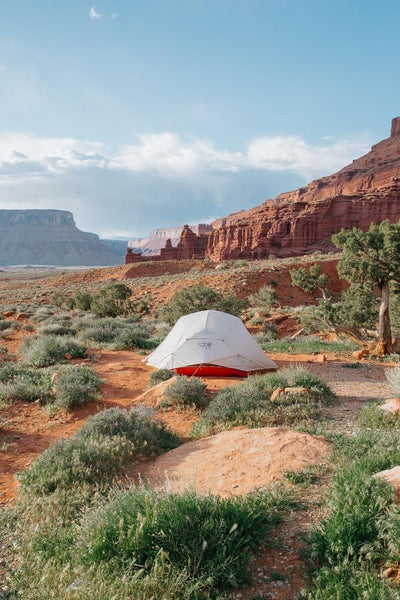 Avoid Common Camping Mistakes: Picking the Right Campsite