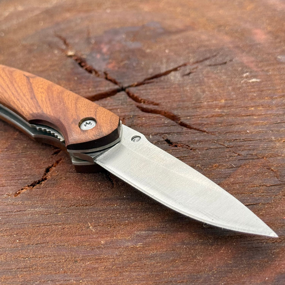 Pocket Knife - Wooden Warrior 2