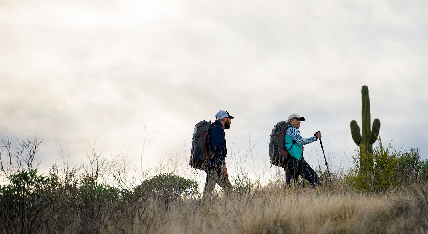 Paula Hike Cacti